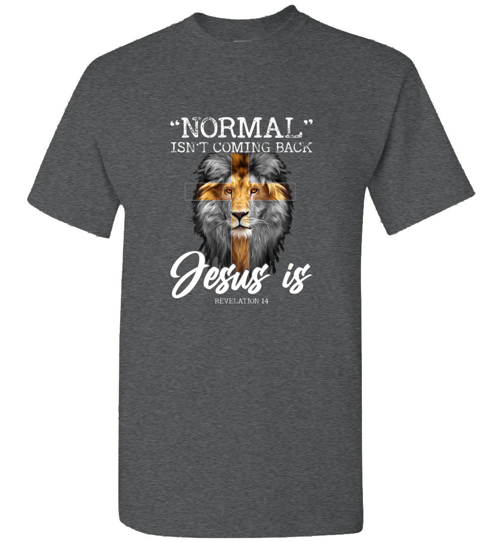 Normal Isn't Coming Back But Jesus is Cross Christian Jesus God Unisex Shirt Gift Men Women