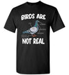Birds are Not Real Funny Bird Spies Conspiracy Theory Birds Unisex Shirt Gift Women Men