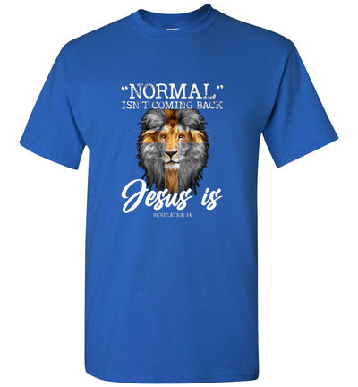 Normal Isn't Coming Back But Jesus is Cross Christian Jesus God Unisex Shirt Gift Men Women
